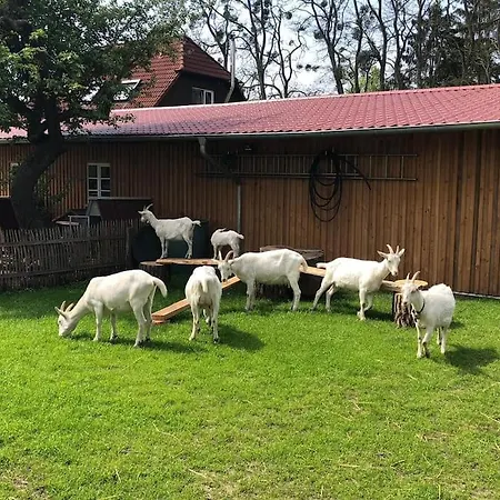 Foersterhof Ferienwohnung Angermunde